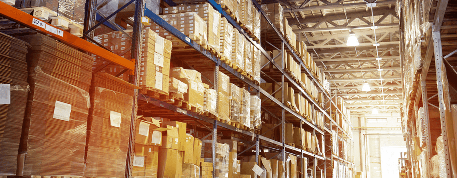 Customs and FTWZ operations